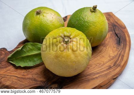 Fresh Ripe Bergamot Orange Fruits, Fragrant Citrus Used In Earl Grey Tea, Medicine And Spa Treatment