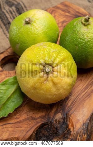 Fresh Ripe Bergamot Orange Fruits, Fragrant Citrus Used In Earl Grey Tea, Medicine And Spa Treatment