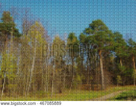Illustrations. Cross-stitch. Forest Landscape. Road In The Pine Forest In Autumn. Travel And Vacatio