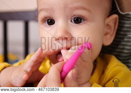 Cute Adorable Newborn Baby Playing With Colorful Rattle Toy. Baby With Teether. Six Months Old Lovel