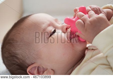 Cute Adorable Newborn Baby Playing With Colorful Rattle Toy. Baby With Teether. Six Months Old Lovel