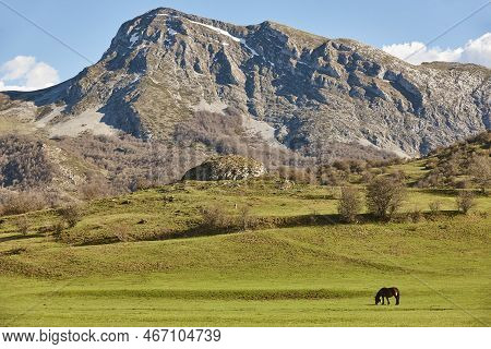 Horse In A Green Valley. Castilla Y Leon Landscape. Spain