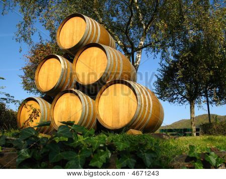 Barile di vino