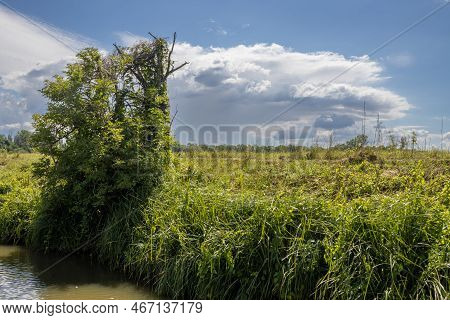 Canal Built Between Morava Part Of Czech And Slovakia By Bata. Beautiful Greenery Lining The Route, 
