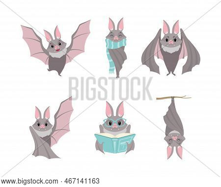 Funny Gray Bat With Cute Snout Flying, Reading Book, Wearing Scarf And Hanging On Tree Branch Vector