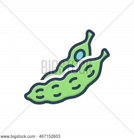Color Illustration Icon For Pod Pea Seed Bean Green Legume Siliqua Peapod Nutrition Grain Almond