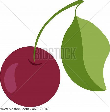 Vector Illustration Isolated On A White Background. Tasty Cherry For Sticker Pack, Postcard.