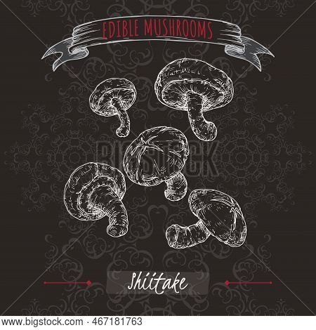 Lentinula Edodes Aka Shiitake Sketch On Black Background. Edible Mushrooms Series.