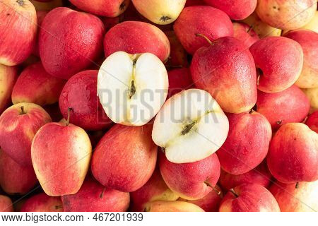 Red Apple Of The Kandil Sinap Variety