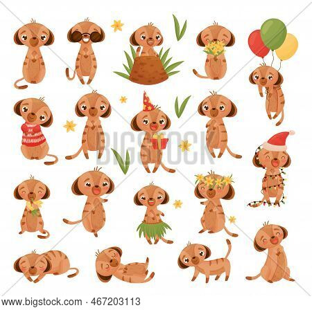 Cute Meerkat Or Suricate Character Engaged In Different Activity Big Vector Set