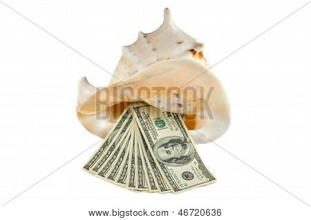 Denominazione di cento dollari In Shell isolata
