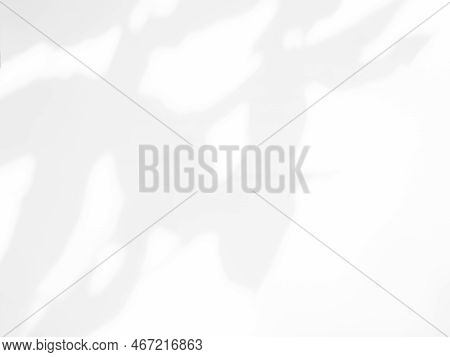 Abtract Overlay Shadow Leaves On Grey Cement Background,texture Surface Design Vintage Styles Backdr