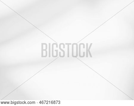 Abtract Overlay Shadow Leaves On Grey Cement Background,texture Surface Design Vintage Styles Backdr