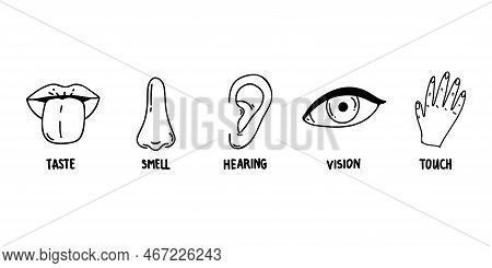 Five Human Senses Line Icons Set. Vision, Smell, Hearing, Touch, Taste Icons. Human Sensory Organs. 