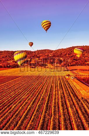 Napa, United States - February 17 2013 : An Aerial View Of Vine Yard Fields In Napa During A Hot Air