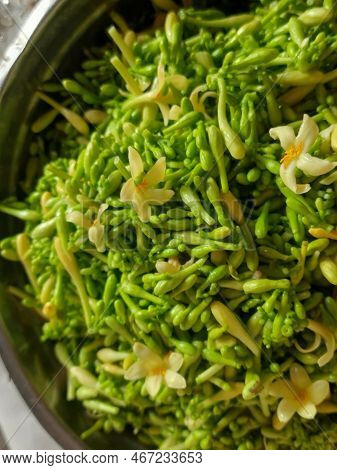 Papaya Flower\n\npapaya Flowers Contain Many Compounds Including Vitamins And Minerals That Are Need
