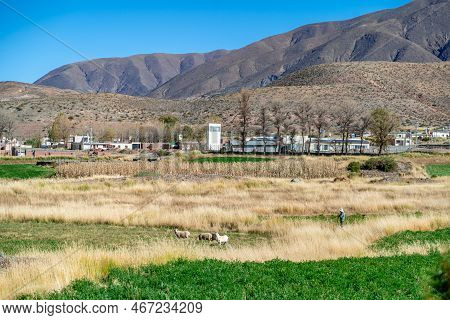 The Mountain Village Of La Poma In The Argentine Andes