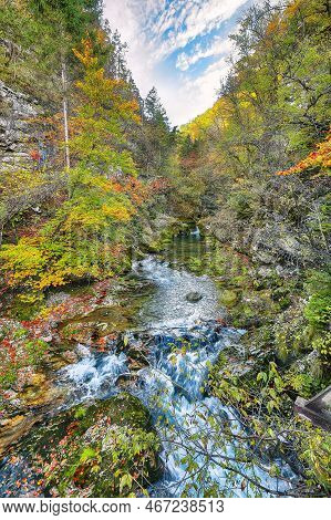 Breathtaking Autumn View Of Popular Tourist Destination  Sum Waterfall In Vintgar Gorge. Location: B