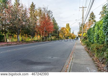 Autumn Trees Line A Streeet In Seatac, Washington.