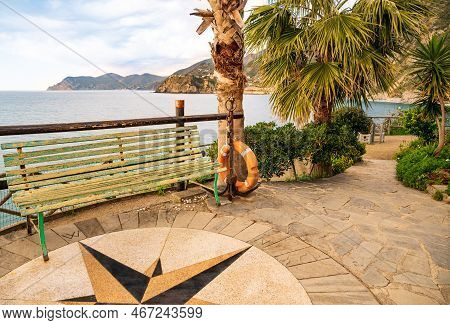 Coastal Landscape Of An Old Shabby Bench Standing Among Palm Trees And Flowers Against The Backdrop 