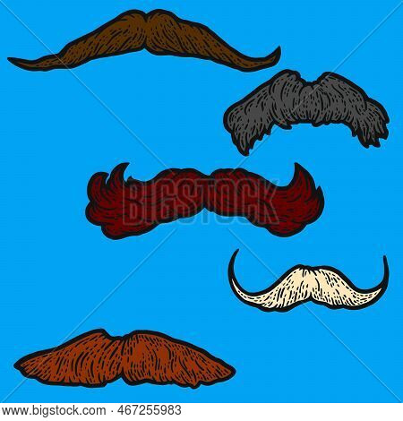 Set, Five Male Retro Mustaches. Sketch Scratch Board Color.