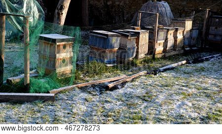 Covered Hives On An Apiary Using A Plastic Net. Protection From Birds In Winter. They Like To Bother