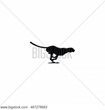 Cheetah Icon. Simple Style The Wild Nature Theme Poster Background Symbol. Cheetah Brand Logo Design