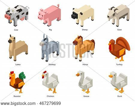 Isometric Farm Animals. Low Poly Cow, Pig And Sheep. Polygonal Goat, Voxel Domestic Birds And Horse 