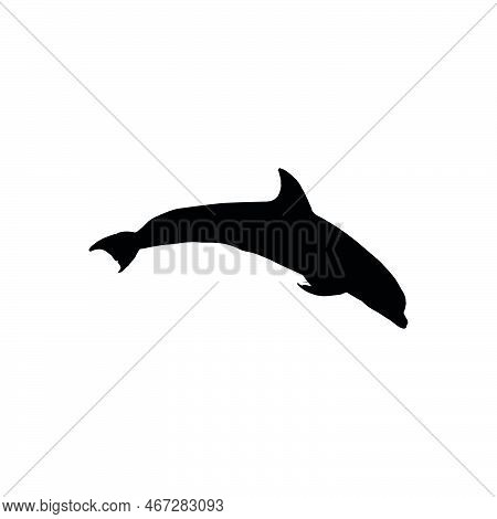 Dolphin Icon. Simple Style Dolphin Show Poster Background Symbol. Dolphin Brand Logo Design Element.