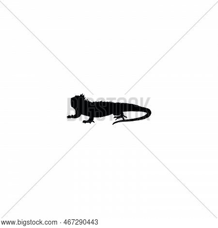 Iguana Icon. Simple Style Travel Agency African Savannah Big Sale Poster Background Symbol. Iguana B