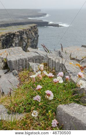 Irská krajina - pohled z Dun Aengus, Antická pevnost na Aranskými ostrovy, Irsko