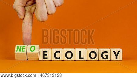 Neo-ecology Or Ecology Symbol. Concept Words Neo-ecology Or Ecology On Wooden Cubes. Businessman Han