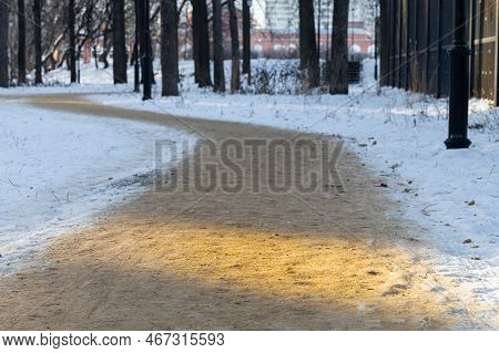 The Path In The Winter Park Sprinkled With Sand. Path In The Park In Winter. Alley In The Winter Par