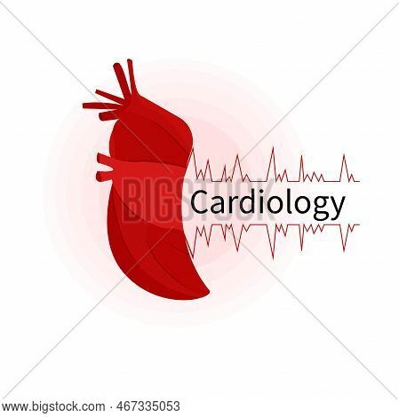 Cardiology And Heart Health. Cardiogram With Text. Flat Style Vector Illustration For Logo And Busin