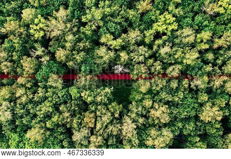 Red Soft Jogging Track In Alley Park, Top Drone Shot In Sunny Summer Day. Greenery Tree Tops And Red