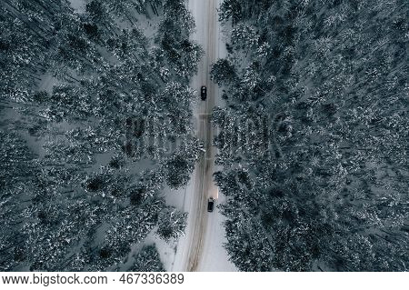 Night Time Aerial View Of Snowy Road In Pine Tree Forest In Winter Season. Drone Top Down View Of Sn