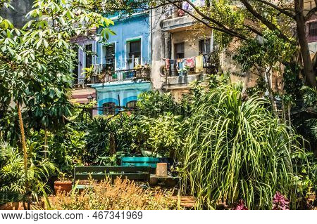 Havana, Cuba - July 18 2018 : Colorful Houses With Plants And Trees All Around It, And That In The M
