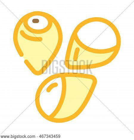 Sorghum Grain Food Color Icon Vector. Sorghum Grain Food Sign. Isolated Symbol Illustration