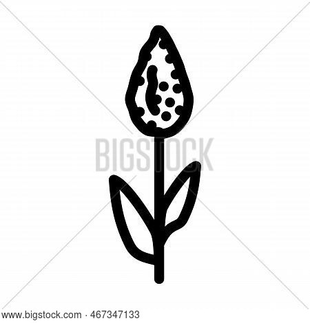 Sorghum Plant Food Line Icon Vector. Sorghum Plant Food Sign. Isolated Contour Symbol Black Illustra