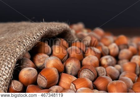 Hazelnuts, Filbert On Old Wooden Table. Heap Or Stack Of Hazel Nuts. Hazelnut Background, Healty Foo