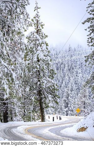 Road With Snow In The Northern California Sierra Nevada Forest By Sly Park