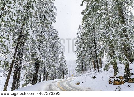 Road With Snow In The Northern California Sierra Nevada Forest By Sly Park
