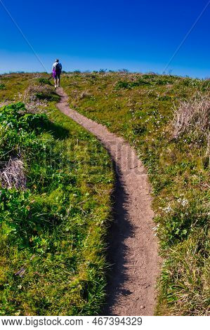 Point Reyes, United States - March 03, 2012 : A Truely Special Place Where The San Andreas Vault Lin