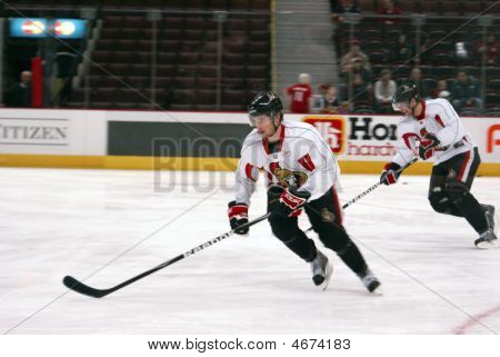 Ottawa Senators Spieler