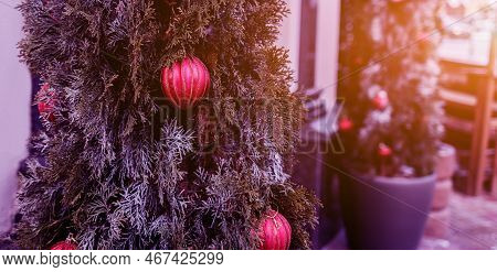 Festively Decorated Outdoor Christmas Tree. New Year