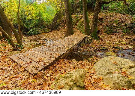 View Of Rocks, Trees, Water Stream, Fall Foliage, Footbridge, And Trail Marks, In The Amud Stream Na