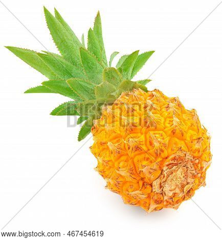 Pineapple Isolated On A White Background. Whole Pineapple Closeup. Fruit Summer Food Concept