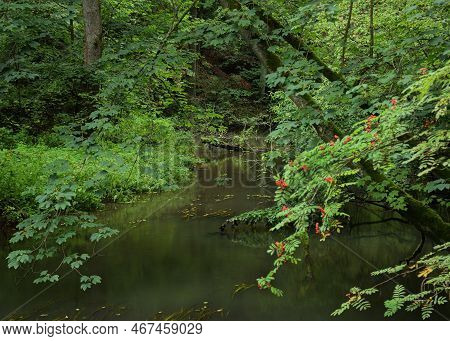 Peklo, Czechia - August 28, 2022: Robecsky Potok Creek