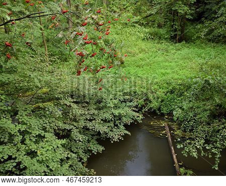 Peklo, Czechia - August 28, 2022: Robecsky Potok Creek