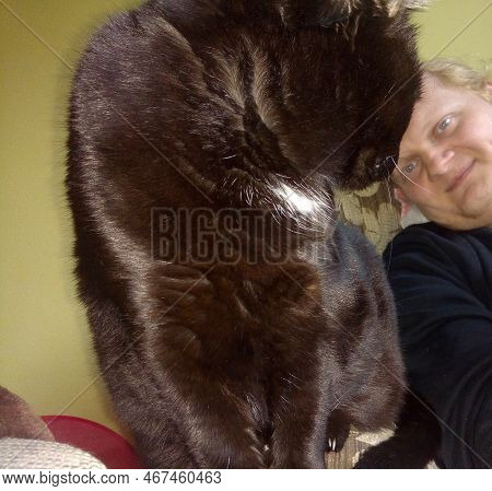 Chomutov, Czechia - September 27, 2022 - Autoportrait With Black Cat Violka